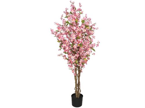 390765 CEREJEIRA 150CM