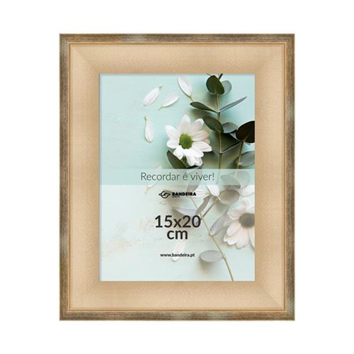 11189218 MOLDURA 15X20CM P3868-B-005G-2