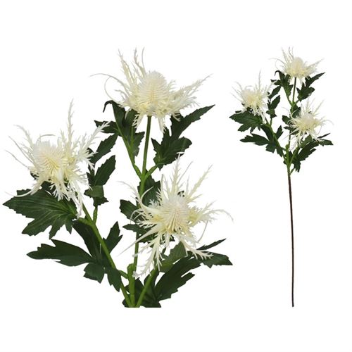 188232 HASTE MAR HOLLY X 3-66CM