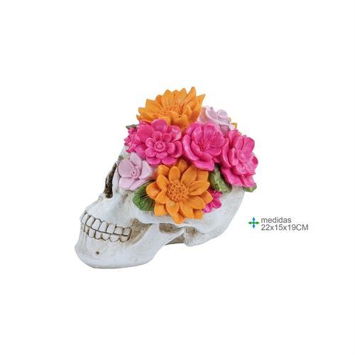 CR-78372 CAVEIRA RESINA 22x15x19cm