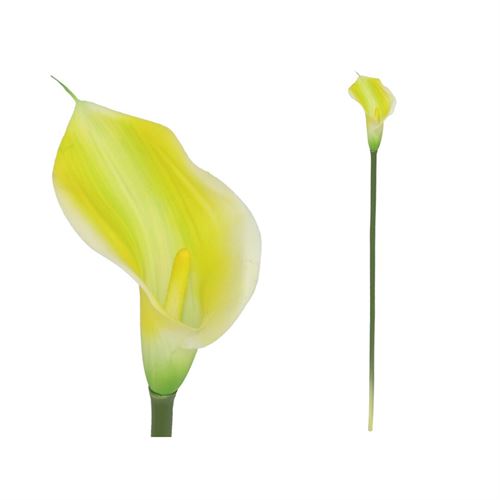 873222 HASTE JARRO 72CM