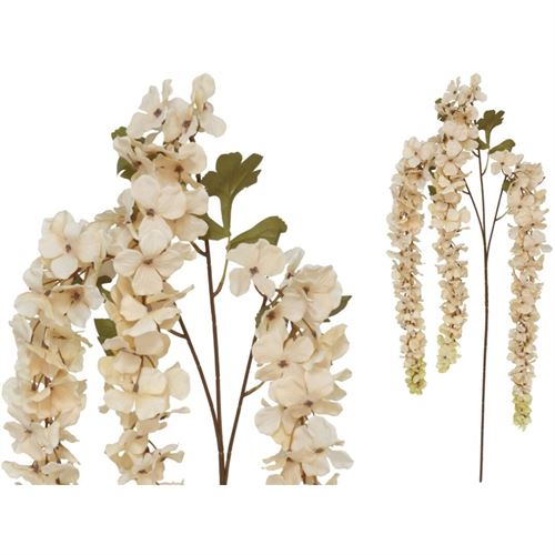 208657 HASTE HORTENSIA