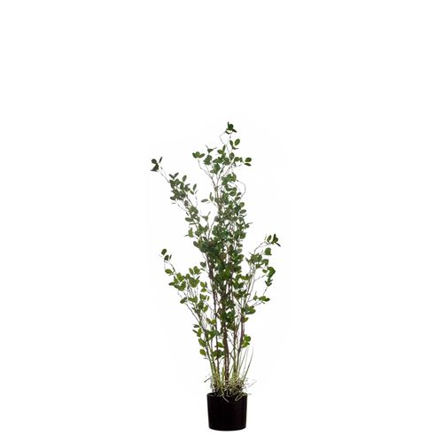 PLANTA ARTIFICIAL RUBBER TREE 120CM