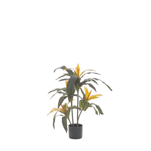 43506 PLANTA ARTIFICIAL DRACAENA 90CM