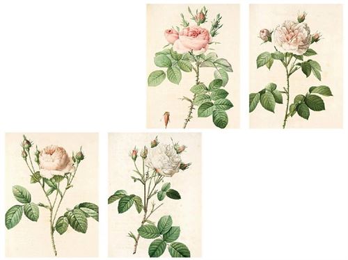 130422 TELA ROSAS 30X40X1,5