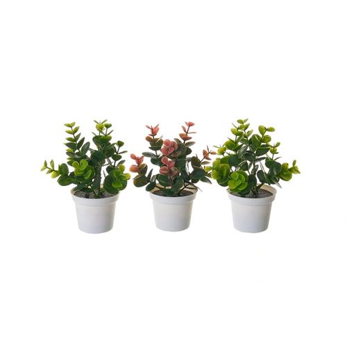 800978 PLANTA 3/C PLASTICO 12X12X17