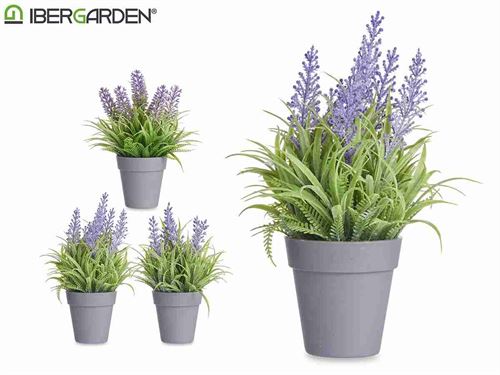 86829 VASO C/LAVANDA SORT3 8X21CM