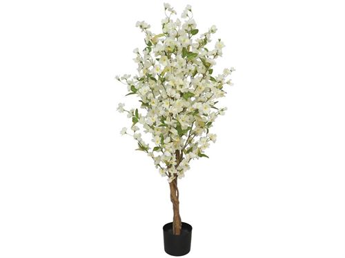 CEREJEIRA 120CM