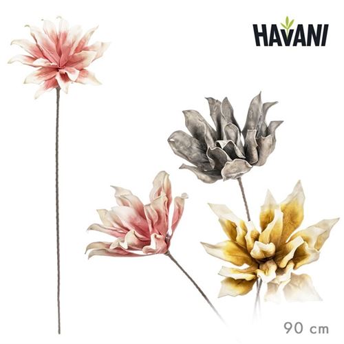 081395 FLOR EVA SORT 3