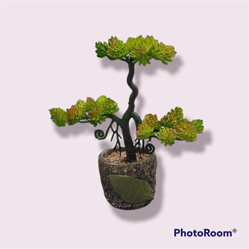14102 BONSAI FIVE 28X12X31CM