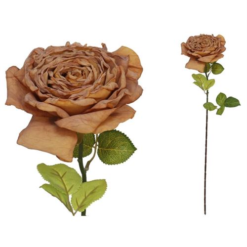 208305 HASTE ROSA SECA 66CM