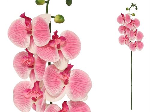 838047 ORQUIDEA -76 CM COM TOQUE REAL