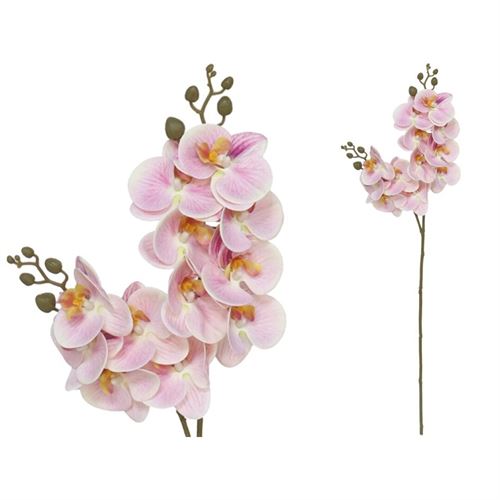 227344 ORQUIDEA X12 TOQUE REAL 76CM