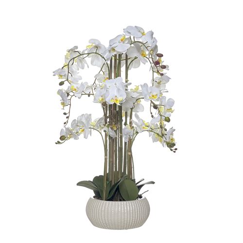 43567 ORQUIDEA 82CM COM TAÇA CERAMICA
