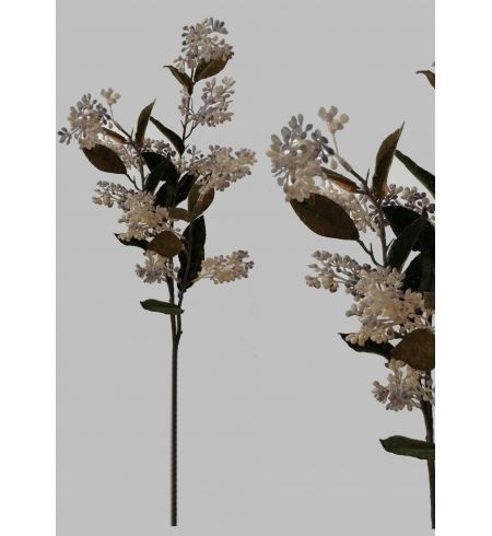 N1601000215 HASTE SEMENTES 80CM