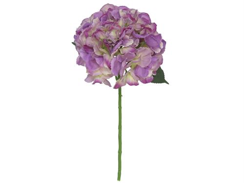 HORTENSIA 42CM C/TOQUE REAL