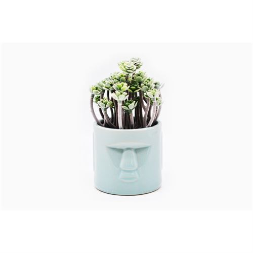 P050185329 PLANTA HA325300GN 10,8X10,8X17,15CM