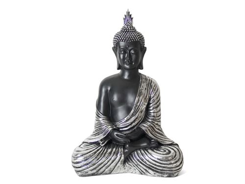 409476 BUDA RESINA