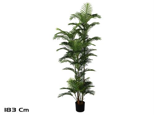 186788 PLANTA PALMEIRA 183CM