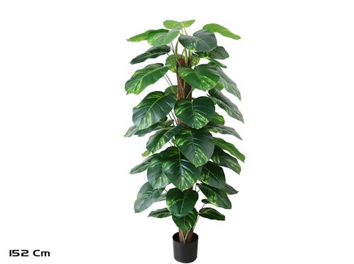 186986 ÁRVORE POTHOS 152CM