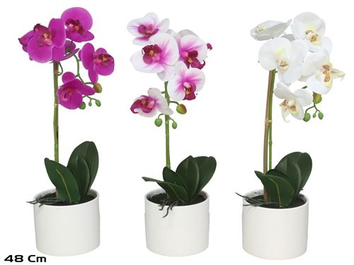 198477 ORQUÍDEAS EM VASO 48 CM