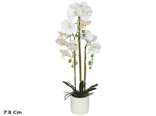 198514 ORQUÍDEA EM VASO 73 CM