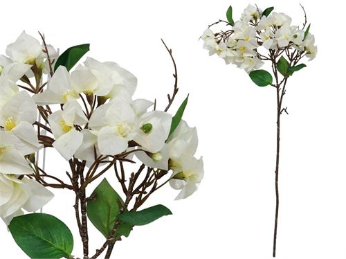 274669 HASTE BUGANVÍLIAS-75 CM
