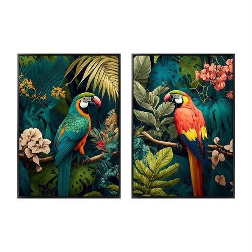 369945 PINTURA MOLDURA PAPAGAIO 2 VARIEDADES 50X70X3 CM