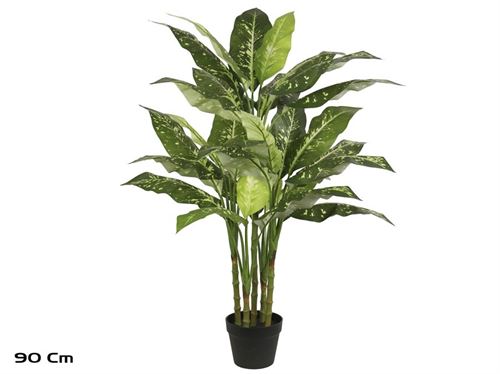 390833 PLANTA DE DIEFFENBACHIA X 5 - 110 CM
