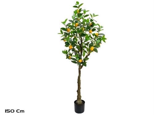 391700 ÁRVORE DE LIMÃO 150CM
