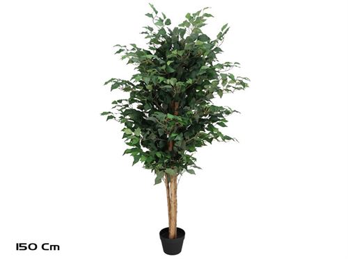 395418 ÁRVORE FICUS 150CM