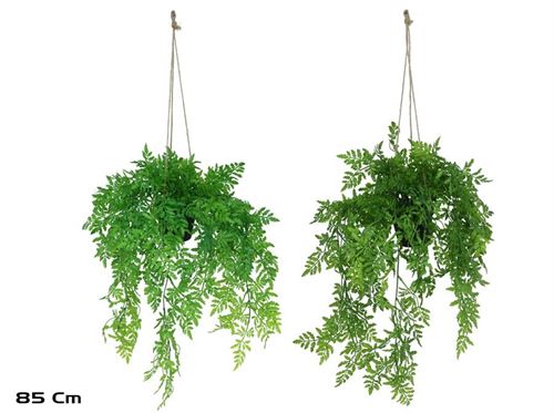 398808 PLANTA FERNS PENDENTE 85CM