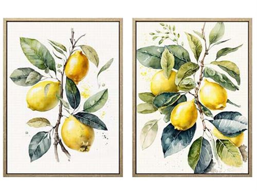 426556 TELA COM MOLDURA FRUTAS 2 SURT 30X40X2,5 CM