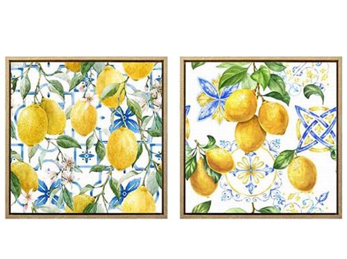 426648 QUADRO COM MOLDURA LIMAO 2 SURT 40X40X2,5 CM