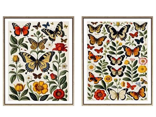 426747 TELA COM MOLDURA BORBOLETA 2 SURT 40X50X2,5 CM