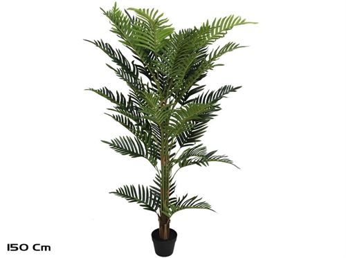 431260 PLANTA ARECA PALMEIRA 150CM