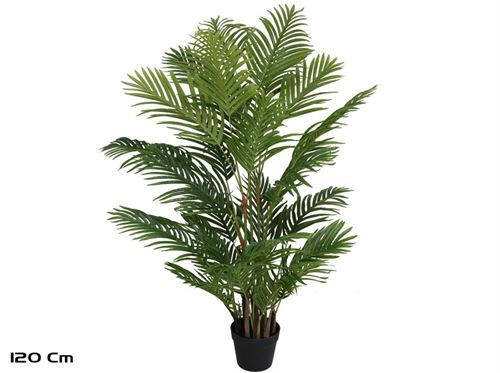 431284 PLANTA PALMEIRA X27-120CM