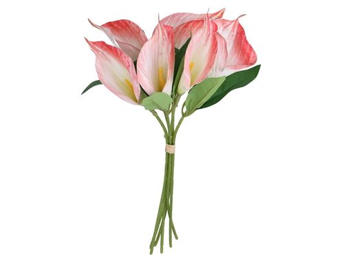 435091 RAMO JARROS AMARRADAS X 6 - 35 CM (ROSA)