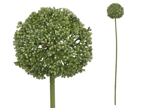 438443 HASTE DE ALLIUM - 60 CM (VERDE)