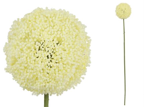 438450 HASTE DE ALLIUM -73 CM (BRANCO)
