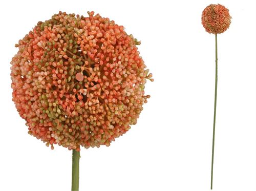 438467 HASTE DE ALLIUM -73 CM (TE)
