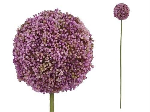 438481 HASTE ALLIUM -73 CM (VIOLETA)