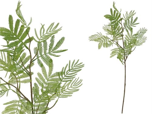 438740 HASTE DE FOLHA DE MIMOSA X 3 - 78 CM