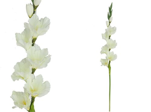 446998 VARINHA DE DECORAÇÃO DE GLADÍOLO X 8-82 CM (BRANCA)