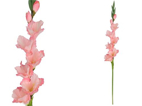 447025 VARINHA DE DECORAÇÃO DE GLADÍOLO X 8-82 CM (ROSA)