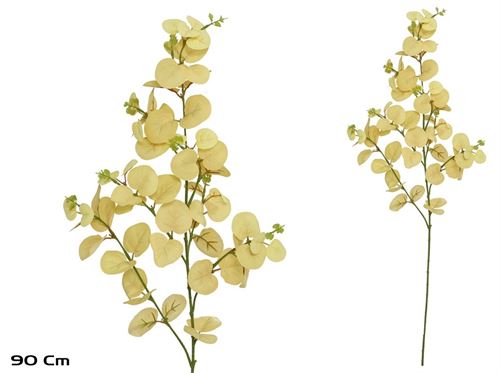 594316 HASTE EUCALIPTO BEJE 90CM