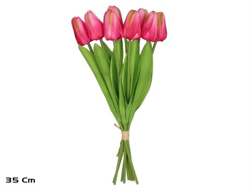 597546 RAMO TULIPAS X8 35CM FUSCIA