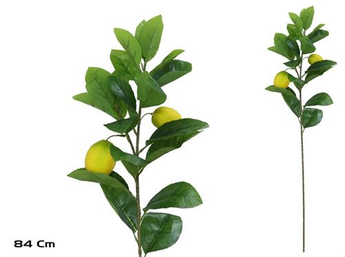 598932 HASTE LIMAO 84CM