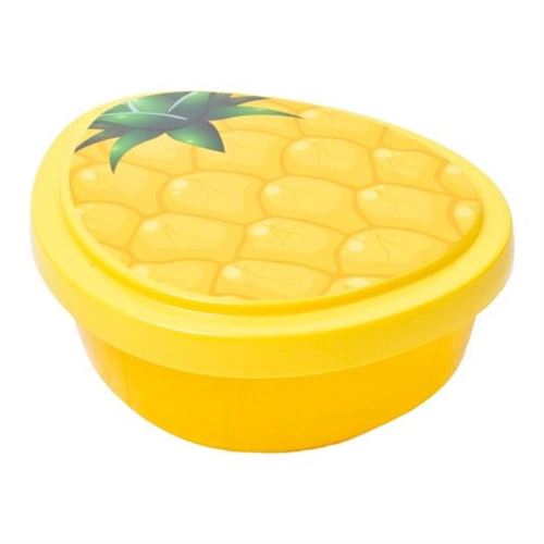 019249 CAIXA PLASTICA ANANAS L-00924