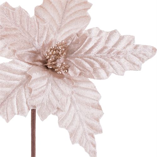 742137 POINSETTIA POLIESTER CHAMPAGNE 24 X 24 X 40 CM